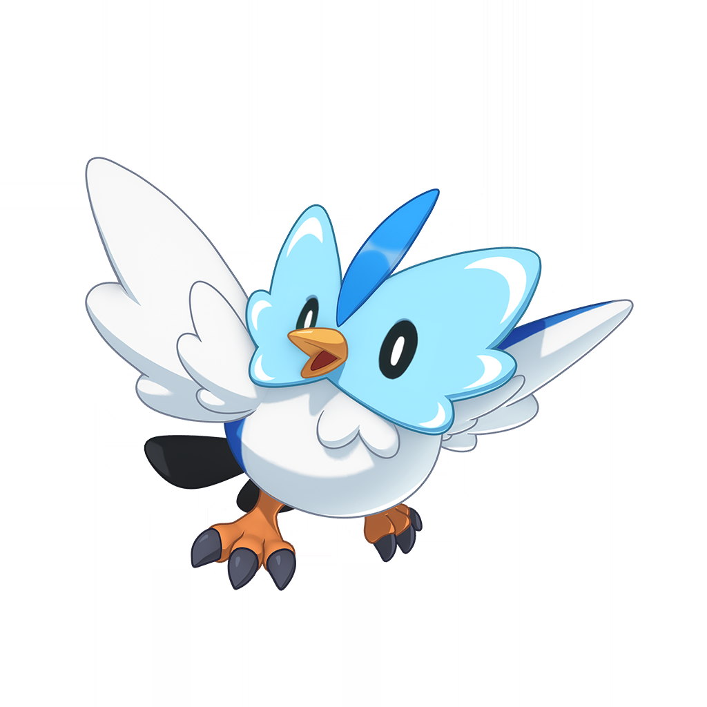 Winterplume Finch(冬羽雀)