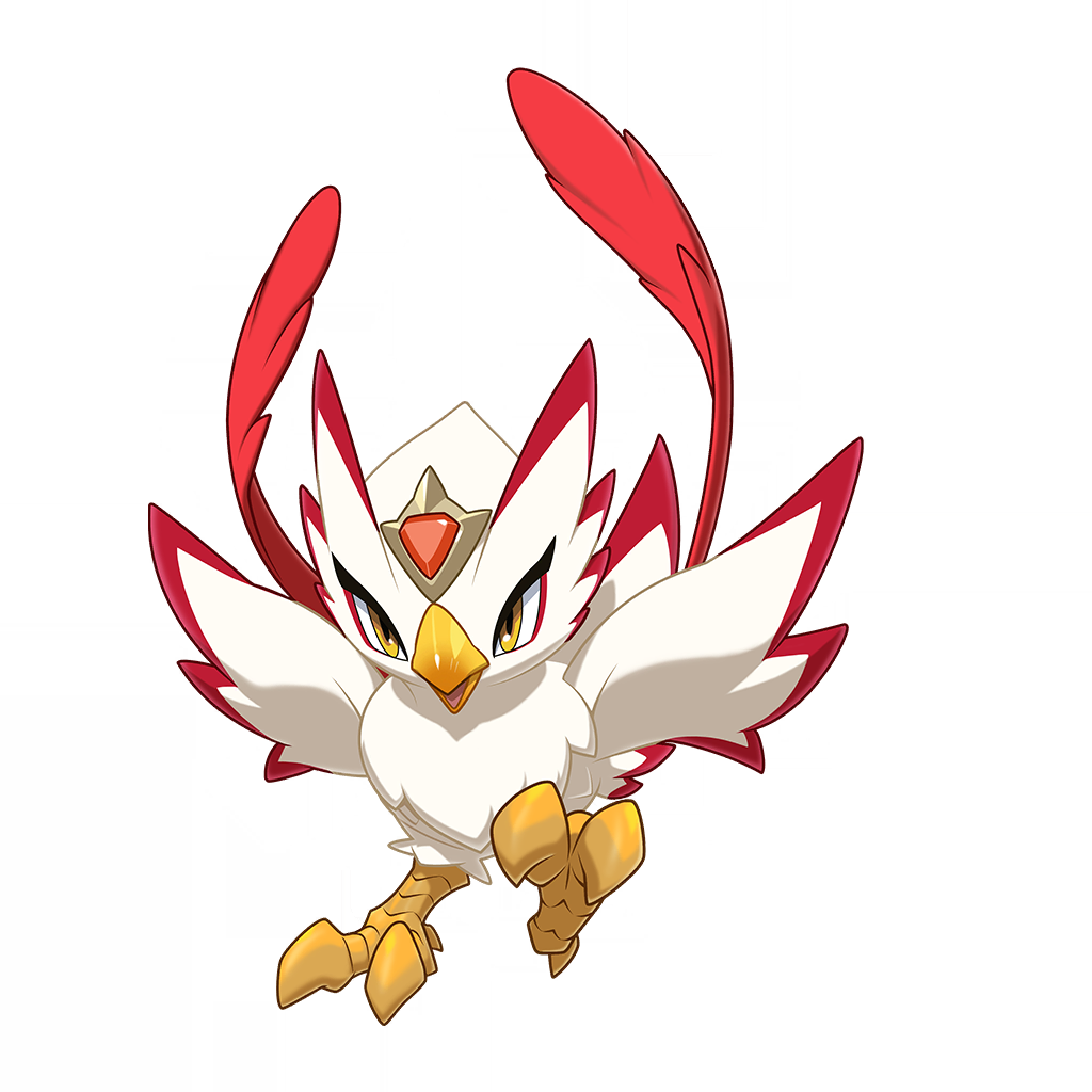 Long-tailed Firebird(长尾火鸟)