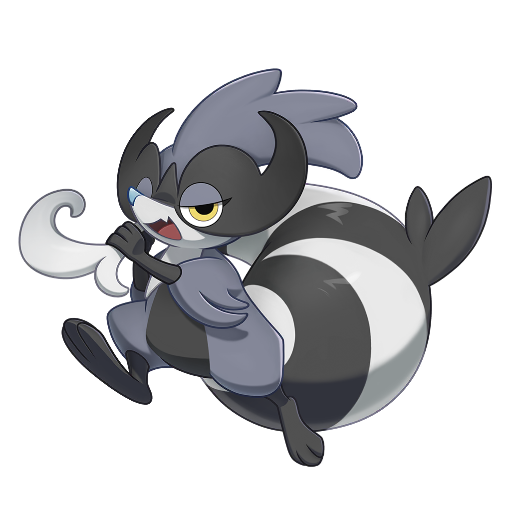 Black-Handed Raccoon(黑手浣熊)