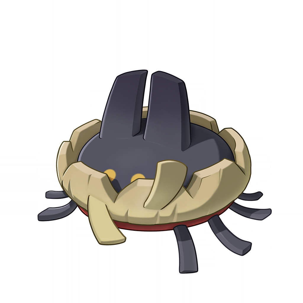 Fuzzspider(毛头小蛛)
