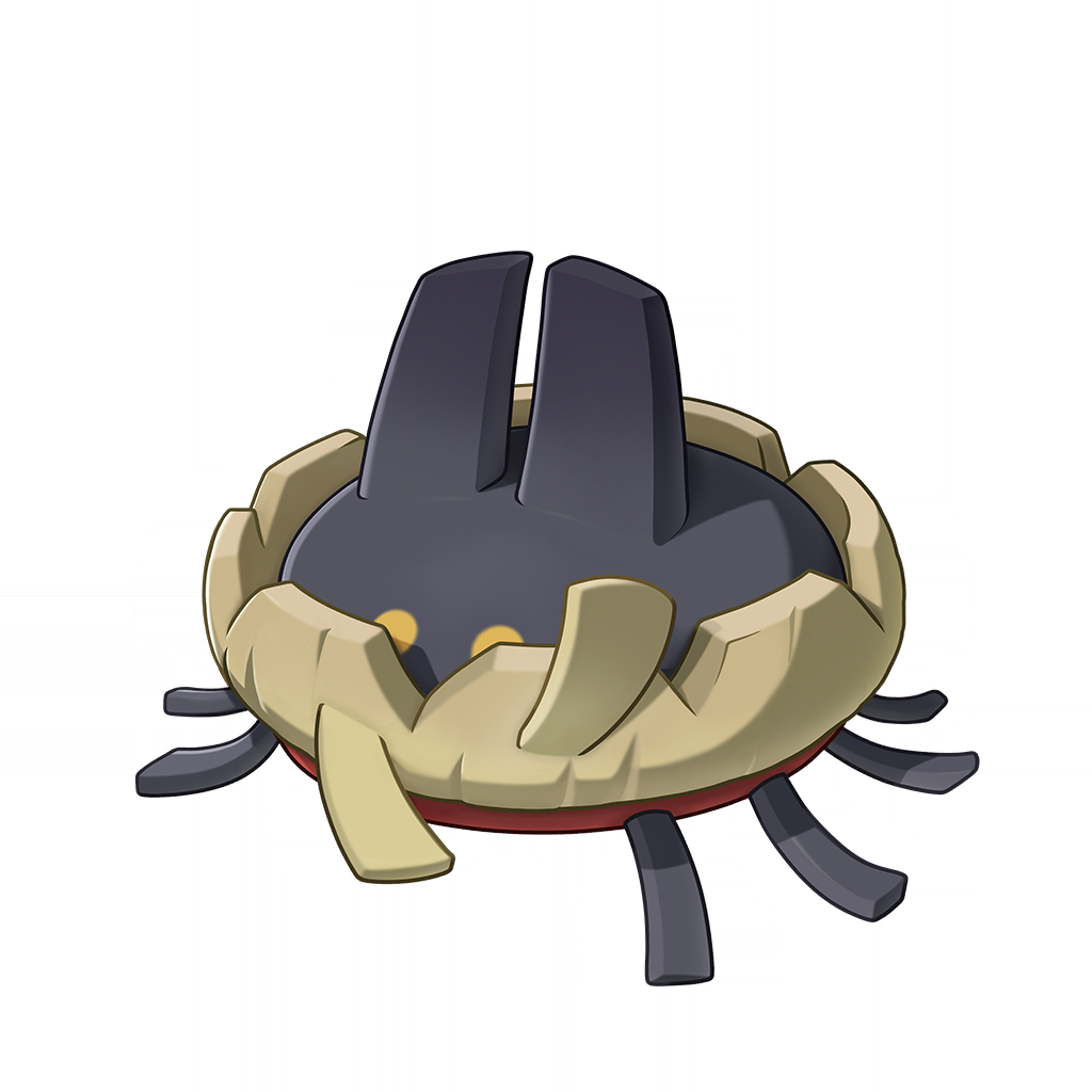 Fuzzspider(毛头小蛛)