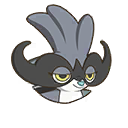 Black-Handed Raccoon