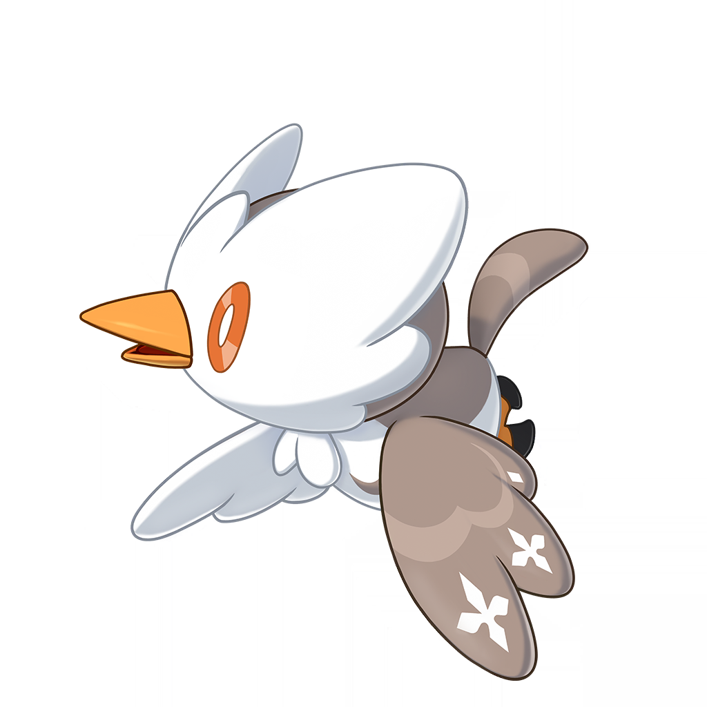 Snowdown Bird(雪绒鸟)