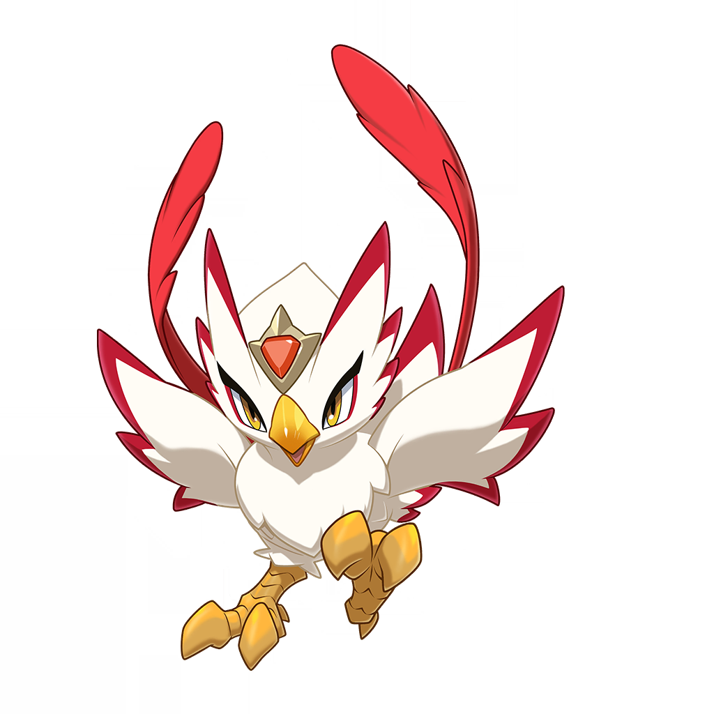 Long-tailed Firebird(长尾火鸟)